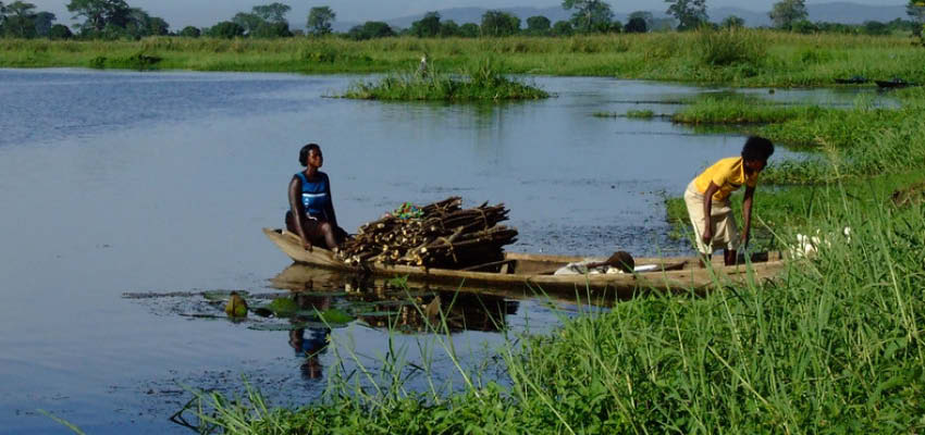 Invasive Weed Choking Ghana’s Lake Volta, Endangering Livelihoods
