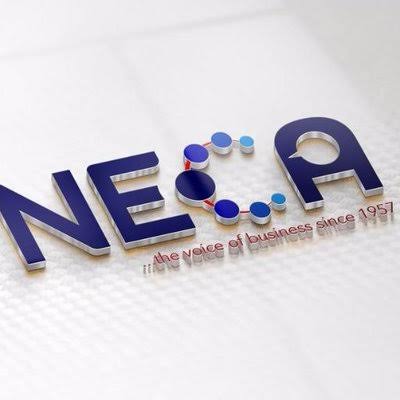 Fuel import tariff will strengthen Naira, spur investment – NECA
