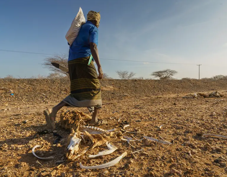 Kenya Drought Pushes Nearly Two Million Toward Food Crisis