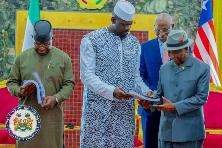 Liberia, Sierra Leone Leaders Meet In Guinea Over Border Crisis