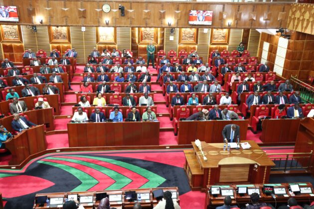 Kenyan MPs Sound Alarm Over Surge in Gangs Ahead of 2027 Polls