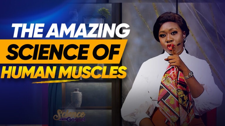 The Human Body: The Incredible Power of Muscles